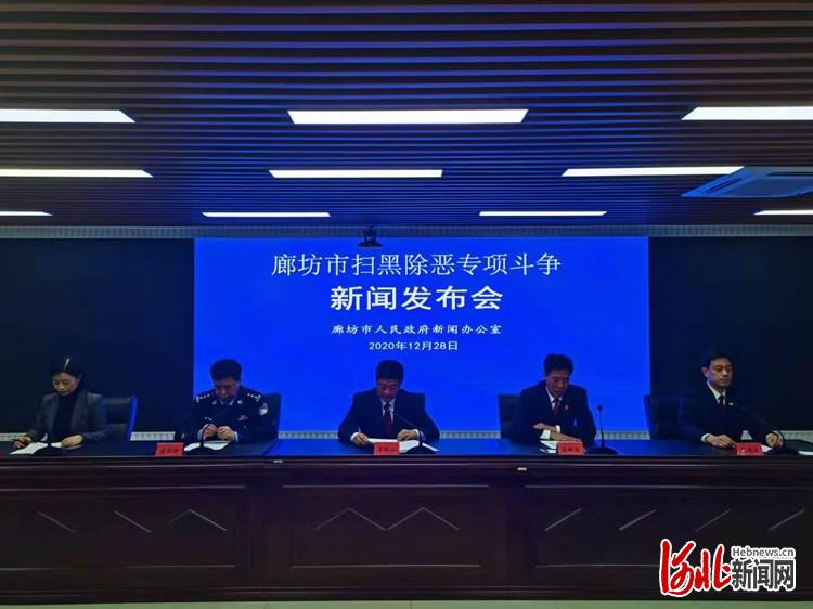 廊坊在线最新动态，时代与地方脉搏共振同步更新
