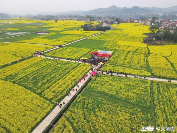 湖南益阳桃江最新新闻热点解析与观点阐述